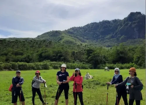 Cari ketenangan dan yang menantang? Pesona Hiking Bogor siap menemani perjalanan Anda