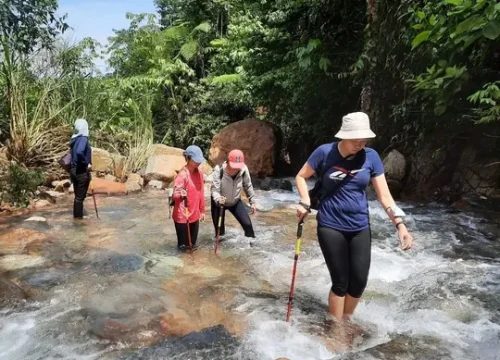 Wisata Favorit bagi Pemula di Berbagai Destinasi di Sentul