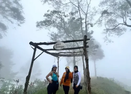 Eksplorasi Bogor: Penjelajahan Alam Paling Asyik di Bogor untuk Semua Orang