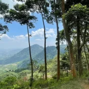 BUKIT DAOLONG 14