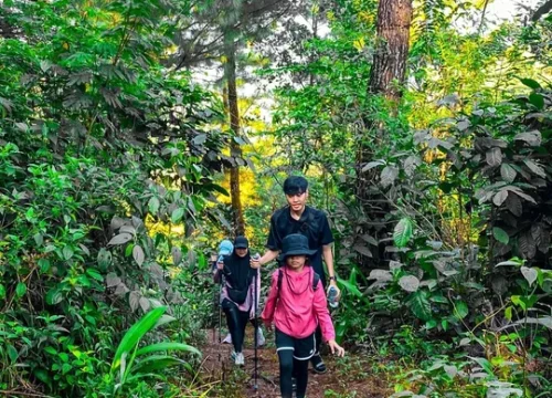 Trekking di Bogor dengan Tujuan Wisata Paling Digemari