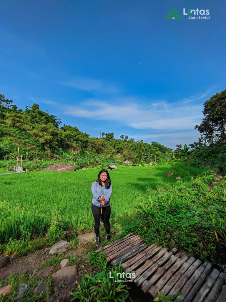 Wisata Terfavorit bagi Pendaki di Berbagai Destinasi di Bogor