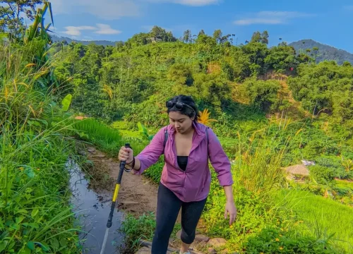 Eksplorasi Bogor: Jalur Trekking Mudah untuk Keluarga di Sentul