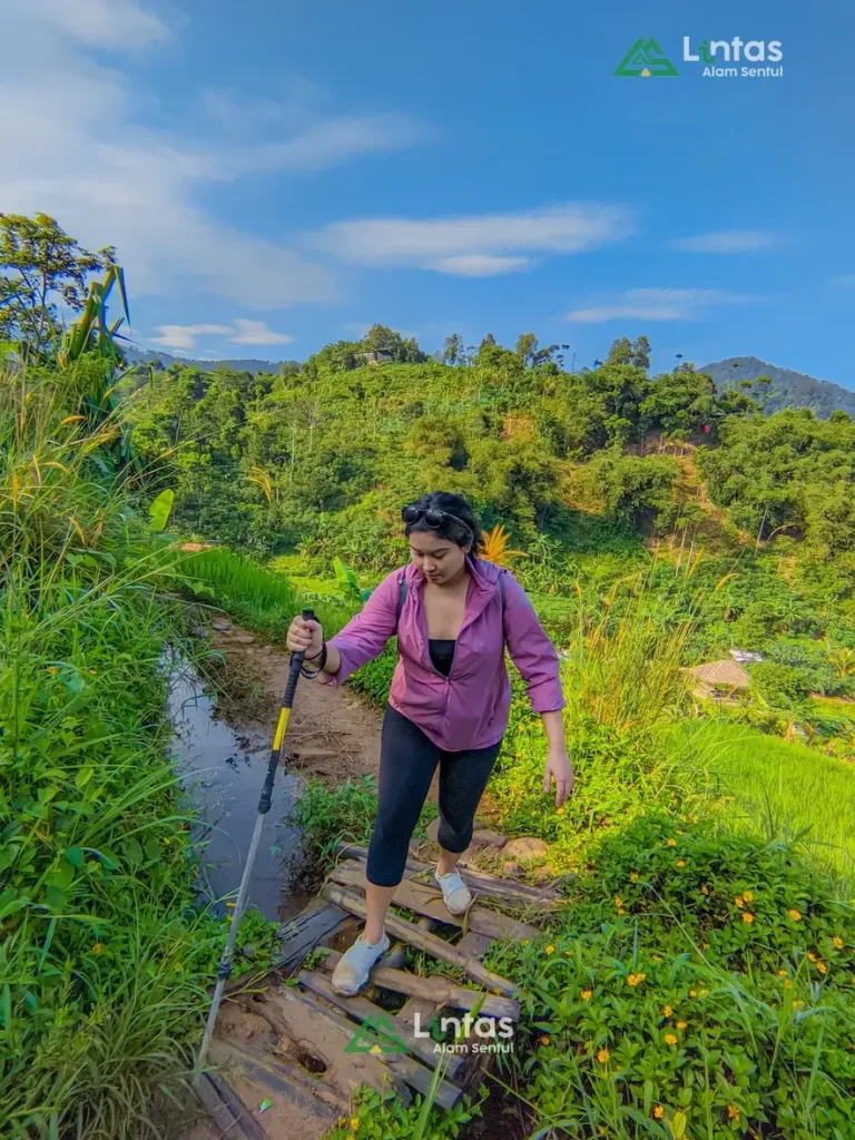 Eksplorasi Bogor: Jalur Trekking Mudah untuk Keluarga di Sentul
