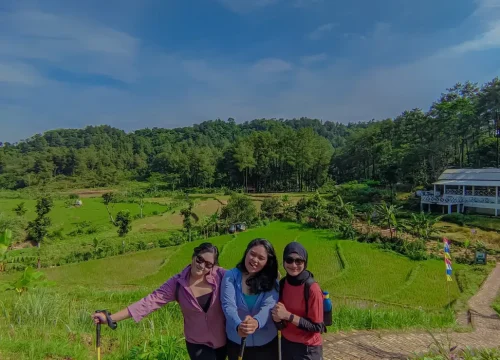 Pendakian Sentul: Panduan Lengkap Jalur Trekking di Bogor