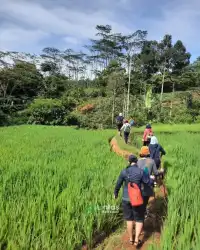 Trekking Curug Ciburial, Curug Kembar dan Curug Hordeng (8)
